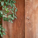 波多野结高清无码中文在线 9nsl62