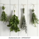 国产超碰人人爽人人做 st5uh