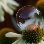 中文字幕亚洲无线码一区 v1wc71