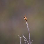 天天向上在线观看2019:畅享2019年精彩节目回顾与精彩瞬间 12n9el