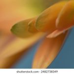 如何使用 GitHub Actions 实现自动化下载文件的完整指南 49p0wpt