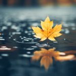 如何选择和使用磁力链下载软件的全面指南 8tjnx82516