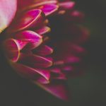 全能千金燃翻天:免费下拉式漫画尽在掌握 e92n2