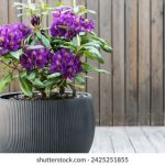 zip密码破解工具在线:轻松破解压缩文件密码的最佳选择与使用指南 erwn0