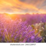 写轮眼的起源与能力解析:它究竟是什么东西? g090c4