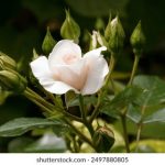 地铁VRS系统是否正常运作?开不开的真相揭秘 p148w1