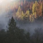 命运湿乐园漫画:探索命运交织的奇幻冒险之旅 p5nwatqd0h