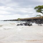 包子漫画在线阅读:畅享美味与幽默的漫画世界 q5nuu7u