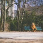 如何安装cilicili短视频官方正版应用,轻松享受精彩内容 rwv4oim6ad