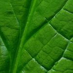 全能干金燃翻天漫画 漫画:探索无敌主角的热血冒险之旅 tz49c