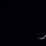 可爱杯狐狸:探索杯子与狐狸的奇妙结合 v4toveq9l